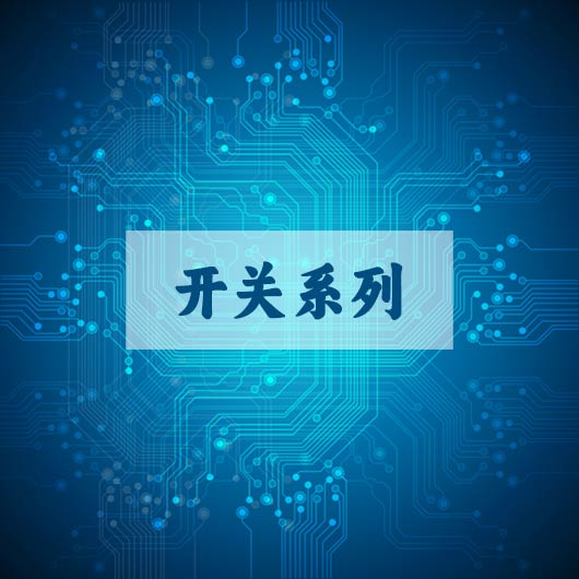 开关系列